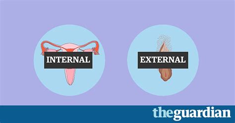 Vagina 101 Can You Pass This Anatomy Quiz Life And Style The Guardian