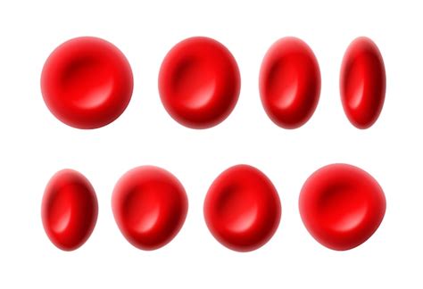 Globules Rouges Qui Coule érythrocytes Sur Fond Blanc Concept De