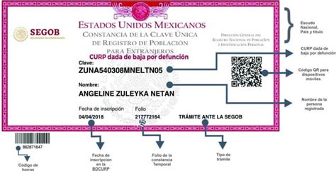 Curp Ejemplo Curp Gratis En México Buscar Nuevo Formato 2021 En Línea Una Vez Hayas
