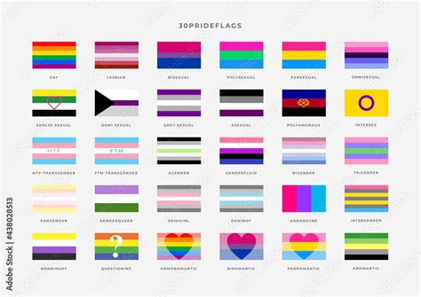 Identity Pride Flags Set Pride Month Flag Of Gay Transgender Bisexual Lesbian Etc Stock