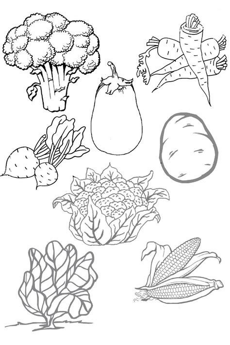 Coloriage Legumes