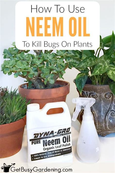 Cold pressed neem oil and a simple surfactant, organic no dye dish soap. Pin on Urban Gardening and tools