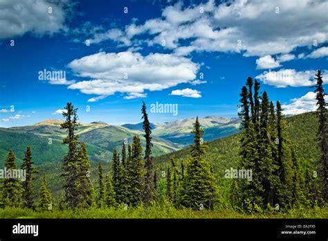 The View Of Mountains With Spring Green Boreal Forest Chena River