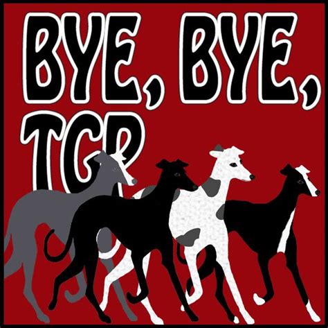 Greyhound Racing Ended In Arizona On June 25 2016 With The Shuttering