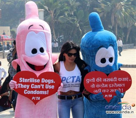 Sherlyn Chopra With Peta Promotes Safe Sex For Animals Filmibeat