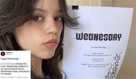 Wednesday, the Netflix TV series: release, cast and plot - Opentapes