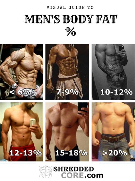 Unveiling The Ideal Demystifying Body Fat Percentage For Women In Fitness Becomegorgeous