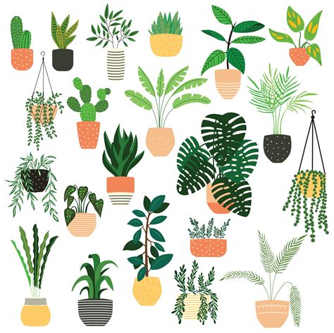 Collection Of Hand Drawn Indoor House Plants On White 694089 Vector Art