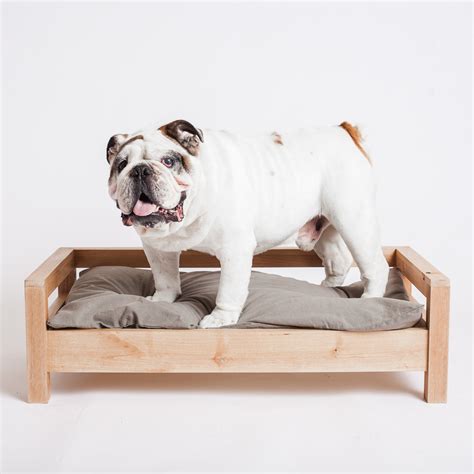 Elevated Dog Beds By Cozy Cama