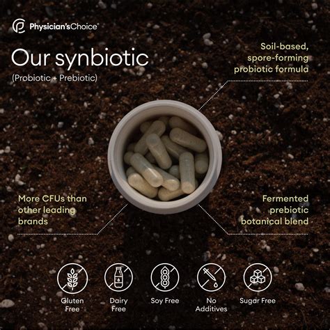 Sbo Probiotics 60 Billion Cfu Soil Based Probiotic Supplement Dr