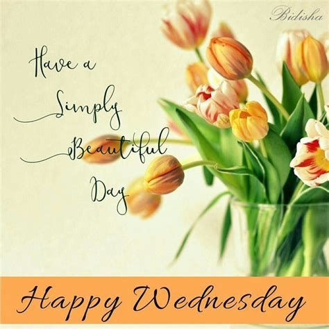 Happy Wednesday Greeting Images Wisdom Good Morning Quotes