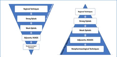 Management Of Pain Diagram Of Acute And Chronic Pain Algorithm Of