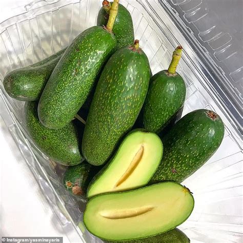 You Can Now Buy Seedless Avocadoes Readsector