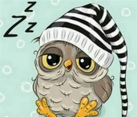 Sleepy Owl 🦉💤 Owl Cartoon Cute Owl Cartoon Animals