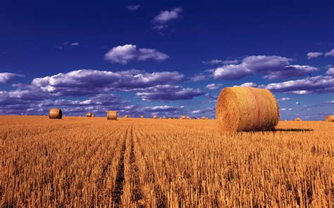 Straw Balls Wheat Field Sky So Clouds Montana Photo Landscape Desktop