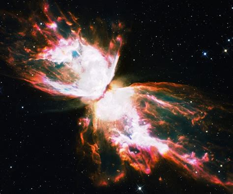 Butterfly Nebulasource Bing Images Nebula