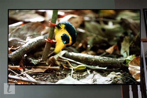 Lg Oled C9 65 Inch 4k Smart Tv Review Perfect Picture For The Tv