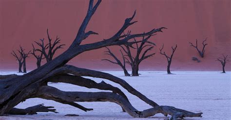 Namibia Photo Journey With Art Wolfe Sold Out Art Wolfe Events
