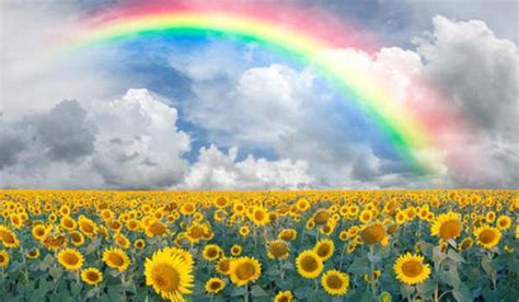 Dream About Rainbow Rainbow Dream Meanings And Interpretation
