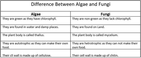 Difference Between Algae And Fungi Ox Science