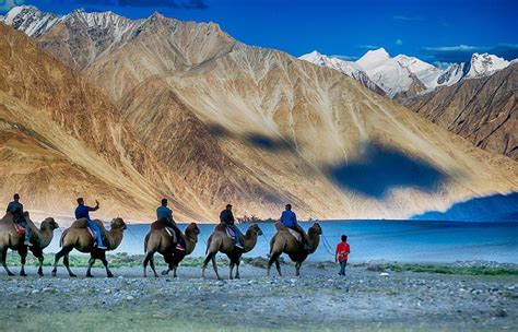 Ladakh A Must Visit Place Once In A Lifetime Explore The Beauty Of
