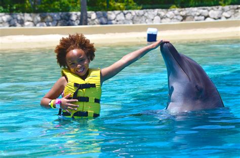 Swim With Dolphins For Non Swimmers And Kids Dolphinaris