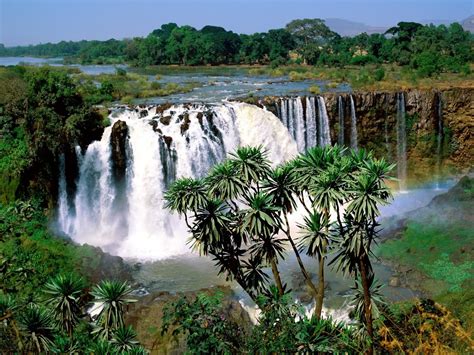 From latin aethiopia, from ancient greek αἰθιοπία (aithiopía), from αἰθίοψ (aithíops), of disputed origin (see the latter article). Ethiopia - Tourist Destinations