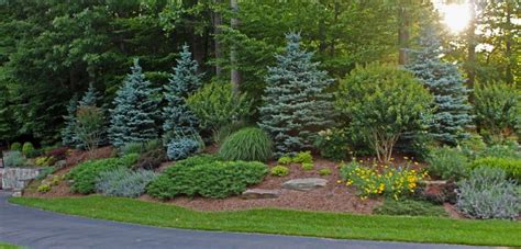 Plantings Greenworks Landscaping And Nursery Privacy Landscaping