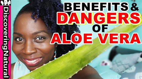 Benefits Dangers Of Aloe Vera Hair Loss Treatment And Dandruff