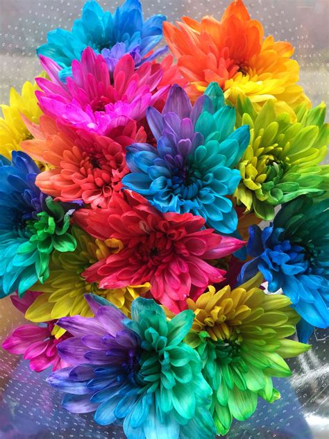 Gorgeous Multicoloured Flowers Flowers Colourful Fluro Rainbow