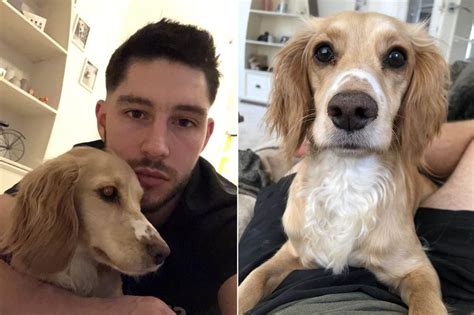 Dog Owner Furious After Puppy Shot Dead On Walk By Lad Mistaking It For