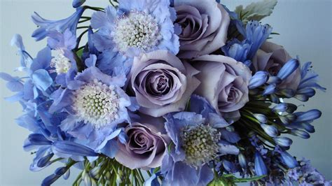 About 20% of these are decorative flowers & wreaths. Голубые и фиолетовые цветы - обои для рабочего стола ...