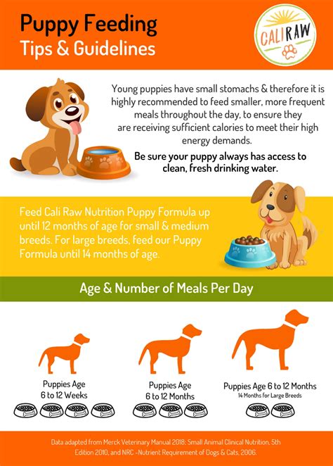 The main downside to feeding commercial raw dog food is the price. Raw Puppy Food Feeding Guide | Raw food for puppies, Puppy ...