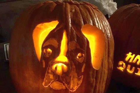 Dog Pumpkin Carvings To Showcase Your Puppy Love This Halloween