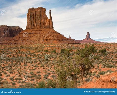One Of The Mittens And A Juniper Tree At Monument Valley Stock Photo