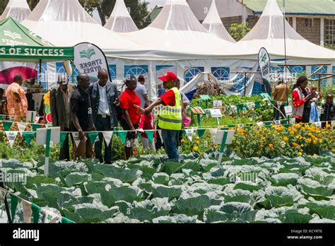 Starke Ayres Food Agriculture Exhibit With People Nairobi