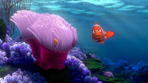 Finding Nemo Finding Nemo Image 3561560 Fanpop