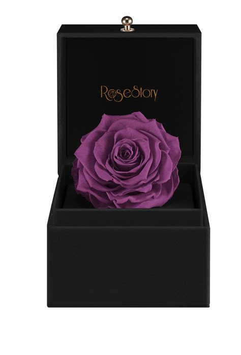 4 Inches Purple Rose Head With Black And Gold T Box A Perfect T