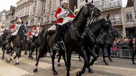 Eleven Things To Know About Household Cavalry Horses On Parade