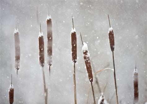 Virginias Record Snows Trips Ed Fuhr Photography