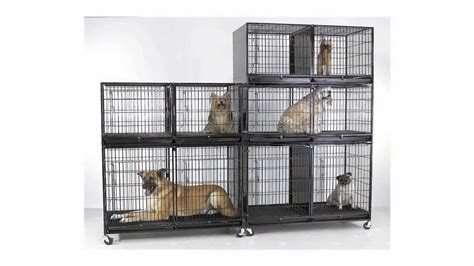 Find the best dog cages price! ProSelect Modular Pet Cages and Cage Banks - YouTube