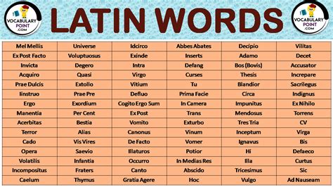 List Of Latin Words Vocabulary Point