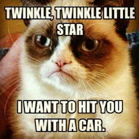 Pin By Melaney Snow On Funnies Funny Grumpy Cat Memes Grumpy Cat