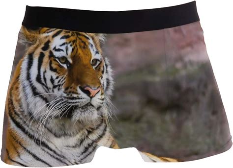 Animal Tiger Feline Boxer Briefs For Men Boy Youth Mens Underwear