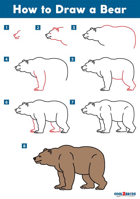365 daily things to draw, step by step! How to Draw a Bear | Cool2bKids