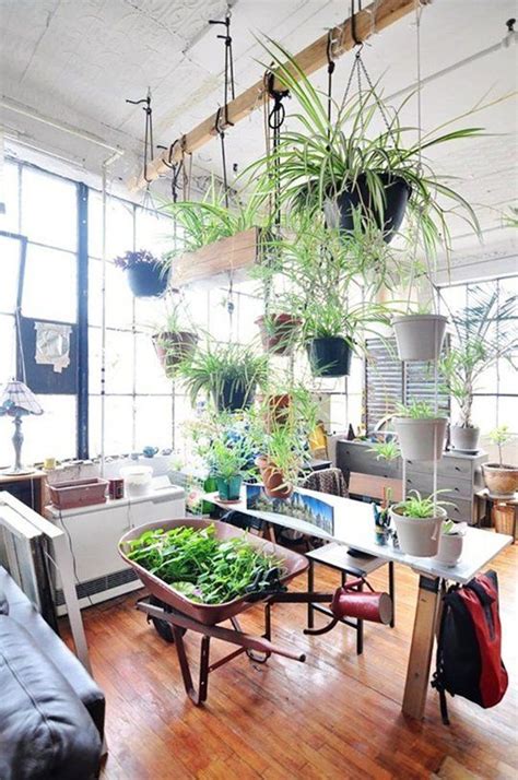 Beautiful Oversized Hanging Plants Room With Plants Indoor Garden