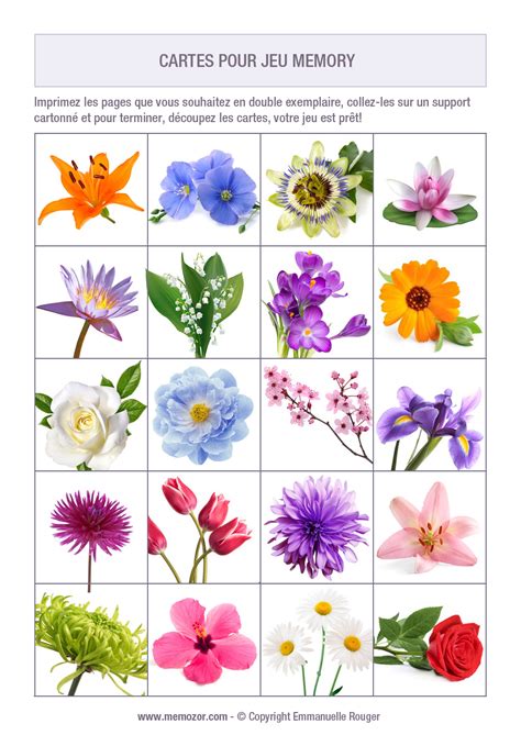 Jeu De Memory à Imprimer Pour Séniors Fleurs Imprimez Et Découpez