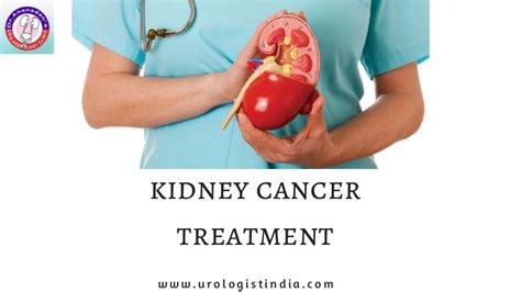 Kidney Cancer Treatment In Chennai Kidney Cancer Specialist In India