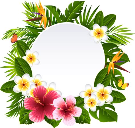 Download Hd Tropical Frame Cliparts Tropical Flower Frame Png