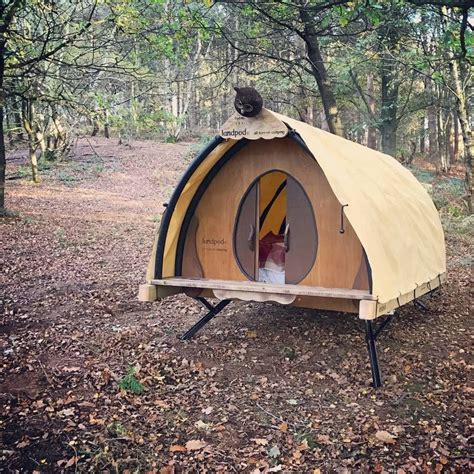 The Cosy Cocoon Glamping Pod In 2020 Sleeping Pods Tent Tent Camping